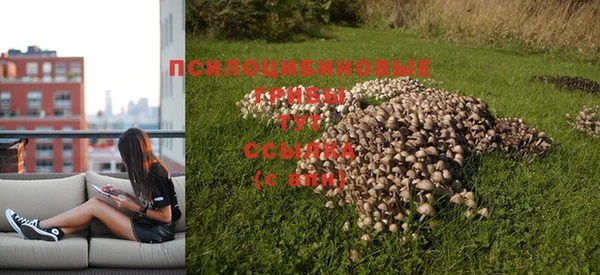 стафф Белоозёрский