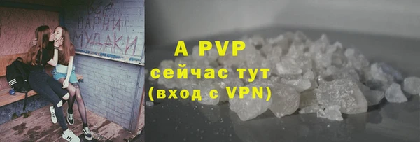 гашик Беломорск