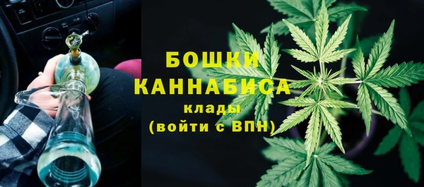 метадон Белокуриха