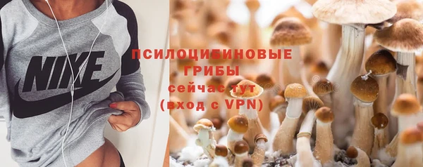метадон Белокуриха